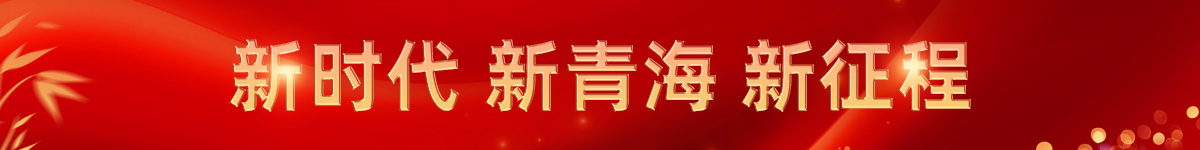 新时代 新青海 新征程