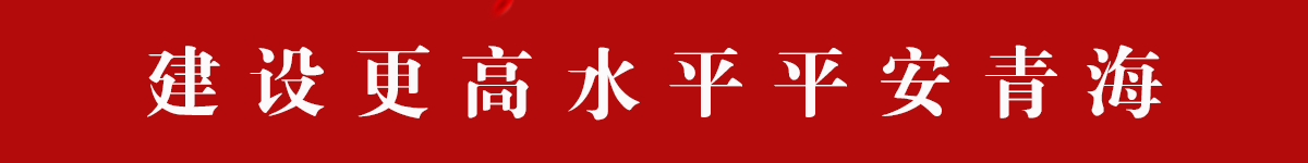 建设更高水平平安青海