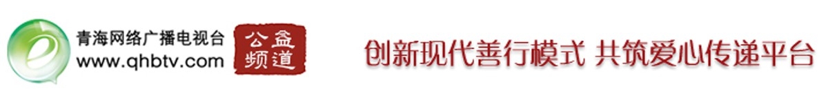 创新现代善行模式 共筑爱心传递平台