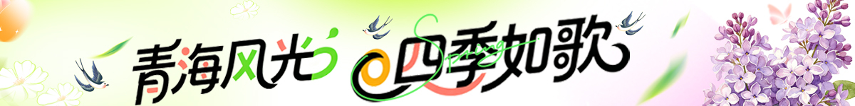青海风光 四季如歌