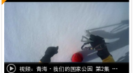 青海·我们的国家公园 第2集 冰河（上）