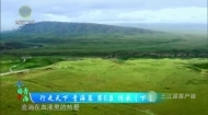 今日青海 20250705 行走天下 青海篇 第6集 传承（下）