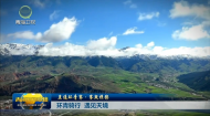 环青骑行 遇见天境