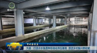 市州县传真 大通：打造冷水鱼苗种标准化供应基地 激活乡村振兴新动能