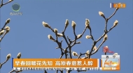 早春回暖花先知 高原春意惹人醉