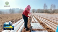 海东：春潮涌动春耕忙 河湟沃野孕丰收