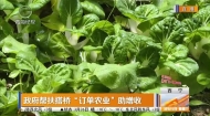 政府帮扶搭桥“订单农业”助增收