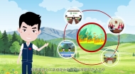 《青海省森林草原防灭火宣传片》