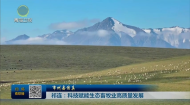 市州县传真 祁连：科技赋能生态畜牧业高质量发展