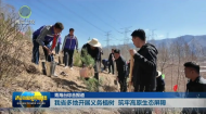 我省多地开展义务植树 筑牢高原生态屏障