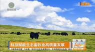 科技赋能生态畜牧业高质量发展