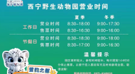 西宁野生动物园最新公告