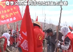春染都兰添新绿 春季义务植树活动绘就生态画卷