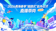 2026年青海春季“组团式”赴外引才北京专场