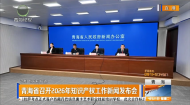 青海省召开2026年知识产权工作新闻发布会