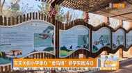 东关大街小学举办“爱鸟周”研学实践活动
