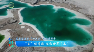 今日青海 20260429 “盐”值青海 迈向世界（上）