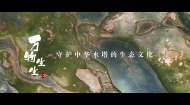 《文化青海》生态文化