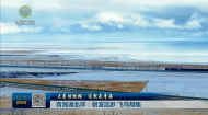 大美短视频·这就是青海 青海湖北岸：碧波浩渺 飞鸟翔集