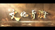 《文化青海》