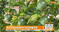 电力护航高原特色产业高质量发展
