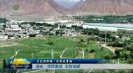 大美短视频·这就是青海 循化：风吹麦浪 丰收在望