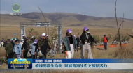 植绿高原生命树 赋能青海生态文旅新活力