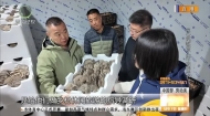 【中国梦 劳动美】匠心筑梦高原 实干赋能兴农