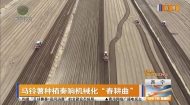 马铃薯种植奏响机械化“春耕曲”