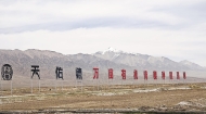 盐碱地的六年重塑路