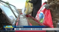 【市州县传真】刚察：抢抓高原农时 筑牢丰收根基