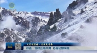 【大美短视频·这就是青海】祁连：雪峰云海共舞 丹霞初绿同框