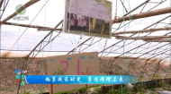 今日青海 20260602 趣享成长时光 勇逐璀璨未来