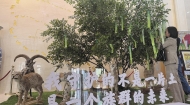 奔赴生态之约 共护绿水青山
——六五环境日青海主场活动见闻