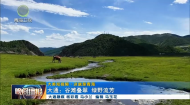 晚间播报 20260703