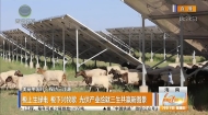 板上生绿电 板下兴牧歌 光伏产业绘就三生共赢新图景