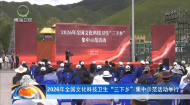 2026年全国文化科技卫生“三下乡”集中示范活动举行