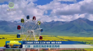 市州县传真 门源：油菜花海迎来客流高峰