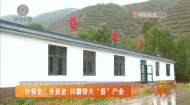 “软黄金”变真金 林麝带火“香”产业