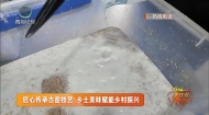 匠心传承古窑技艺 乡土美味赋能乡村振兴