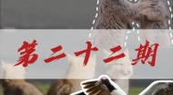 【江源近观】第二十二期预告 《我们的国家公园：爱在天地间》