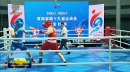 青海省第十九届运动会格尔木赛区拳击项目开赛