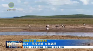 晚间播报 20260820