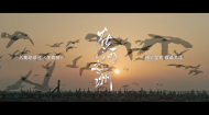 八集纪录片《生命树》第七集宣传片《在河之洲》