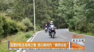 青警护航生命树之旅 践行新时代“枫桥经验”