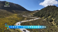 今日青海 20260831 天境祁连：一条公路解锁山水富民密码