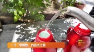 一只“银蝴蝶”的追光之旅