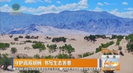 守护高原胡杨 书写生态答卷