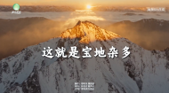 这就是宝地杂多