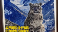 青海唯一！西宁湟中区入选2026民间文艺版权保护试点